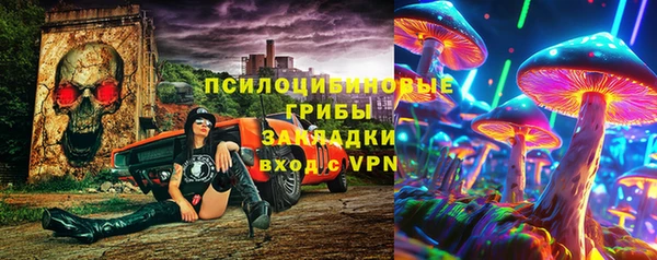 герыч Арсеньев